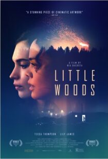 دانلود فیلم Little Woods 201822292-486394318