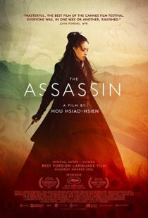 دانلود فیلم The Assassin 201513760-891572600