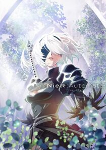 دانلود انیمه Nier: Automata Ver1.1a323874-1773163985