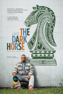 دانلود فیلم The Dark Horse 2014423794-893896772