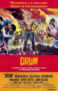 دانلود فیلم Drum 1976423508-2045404653