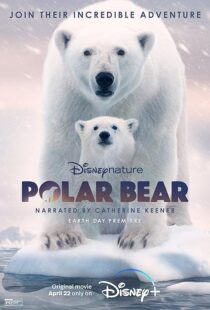 دانلود مستند Polar Bear 2022422974-499636899